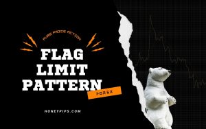 Flag Limit – The Most Profitable Forex Pattern